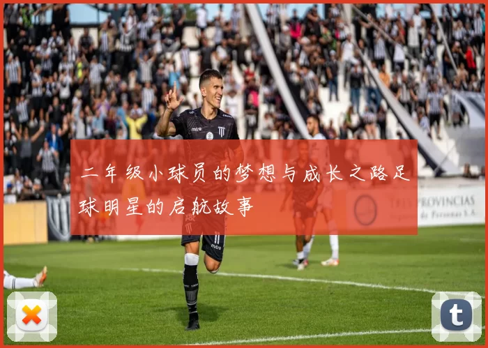 二年级小球员的梦想与成长之路足球明星的启航故事