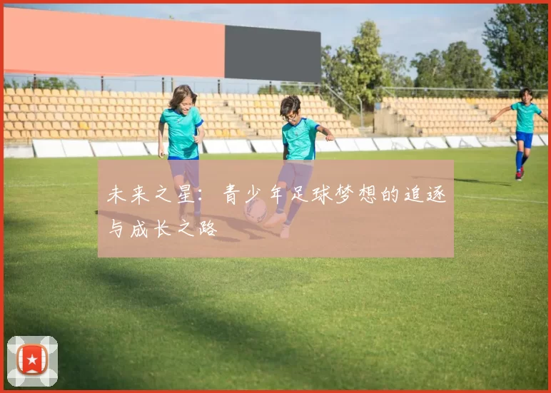 未来之星：青少年足球梦想的追逐与成长之路