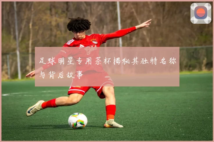 足球明星专用茶杯揭秘其独特名称与背后故事