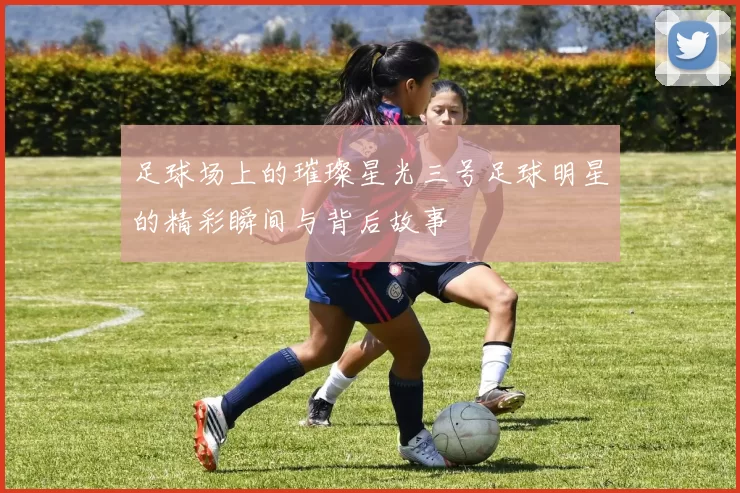 足球场上的璀璨星光三号足球明星的精彩瞬间与背后故事