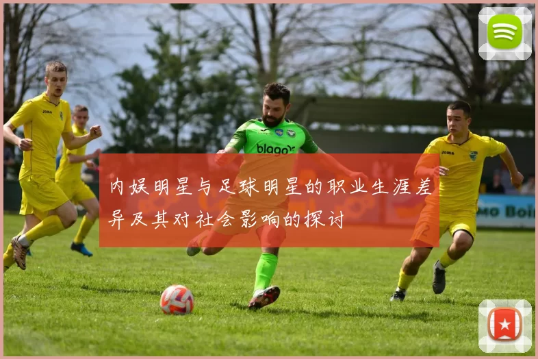 内娱明星与足球明星的职业生涯差异及其对社会影响的探讨