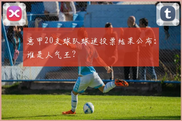意甲20支球队球迷投票结果公布：谁是人气王？
