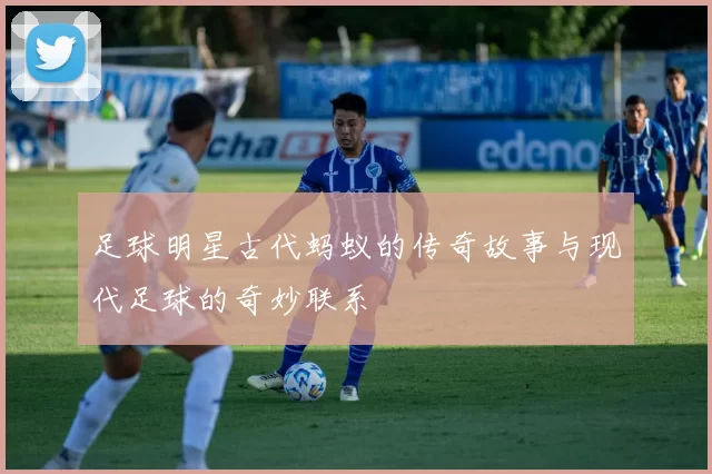 足球明星古代蚂蚁的传奇故事与现代足球的奇妙联系