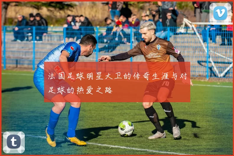 法国足球明星大卫的传奇生涯与对足球的热爱之路