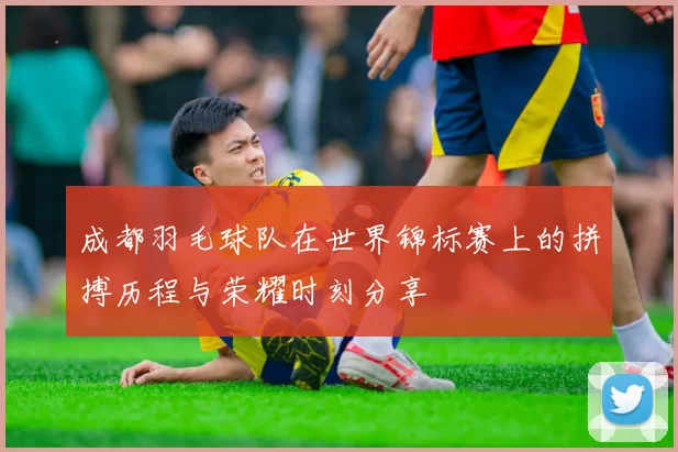成都羽毛球队在世界锦标赛上的拼搏历程与荣耀时刻分享