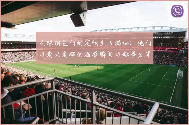 足球明星们的宠物生活揭秘：他们与爱犬爱猫的温馨瞬间与趣事分享