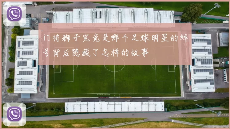 门将狮子究竟是哪个足球明星的绰号背后隐藏了怎样的故事