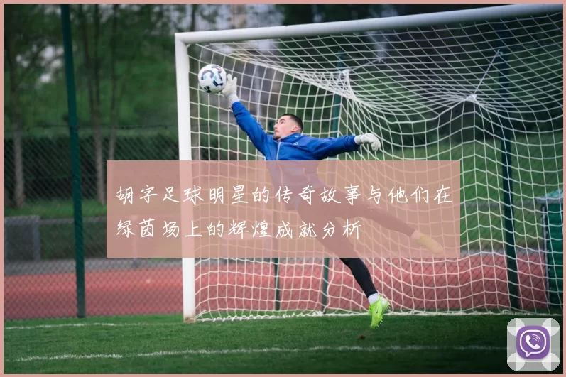 胡字足球明星的传奇故事与他们在绿茵场上的辉煌成就分析