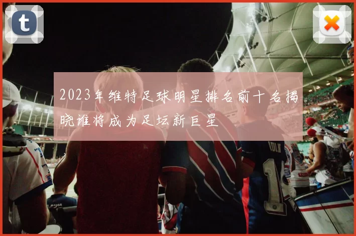 2023年维特足球明星排名前十名揭晓谁将成为足坛新巨星