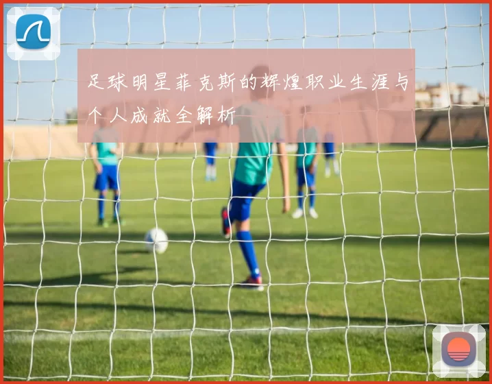 足球明星菲克斯的辉煌职业生涯与个人成就全解析