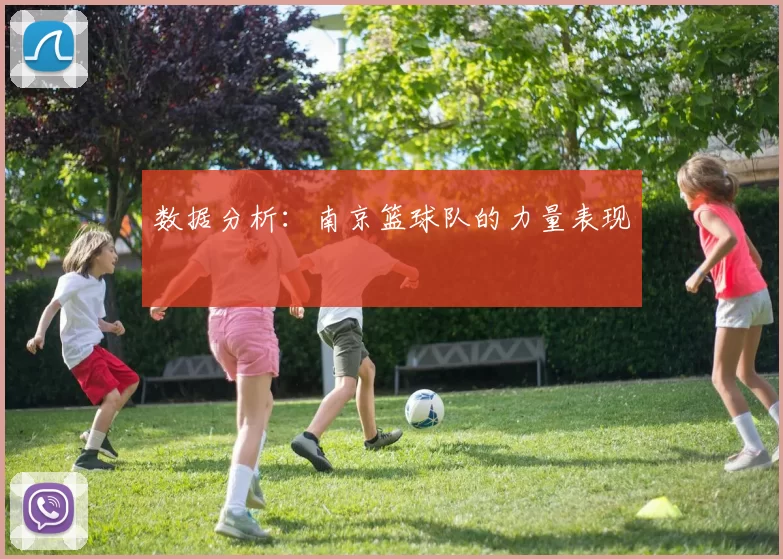 数据分析：南京篮球队的力量表现