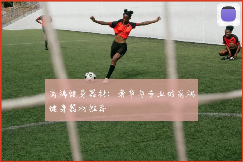 高端健身器材：奢华与专业的高端健身器材推荐