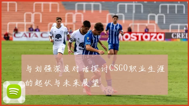 与刘强深度对话探讨CSGO职业生涯的起伏与未来展望