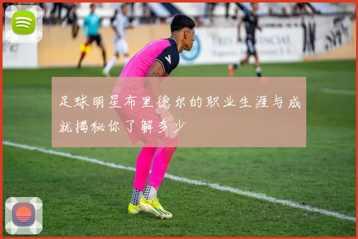 足球明星布里德尔的职业生涯与成就揭秘你了解多少