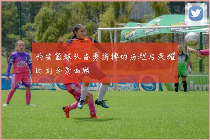 西安篮球队奋勇拼搏的历程与荣耀时刻全景回顾