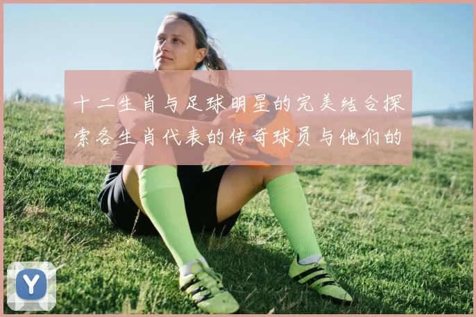 十二生肖与足球明星的完美结合探索各生肖代表的传奇球员与他们的精彩瞬间