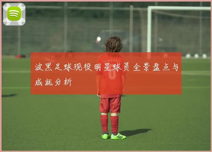 波黑足球现役明星球员全景盘点与成就分析