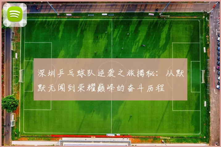 深圳乒乓球队逆袭之旅揭秘：从默默无闻到荣耀巅峰的奋斗历程
