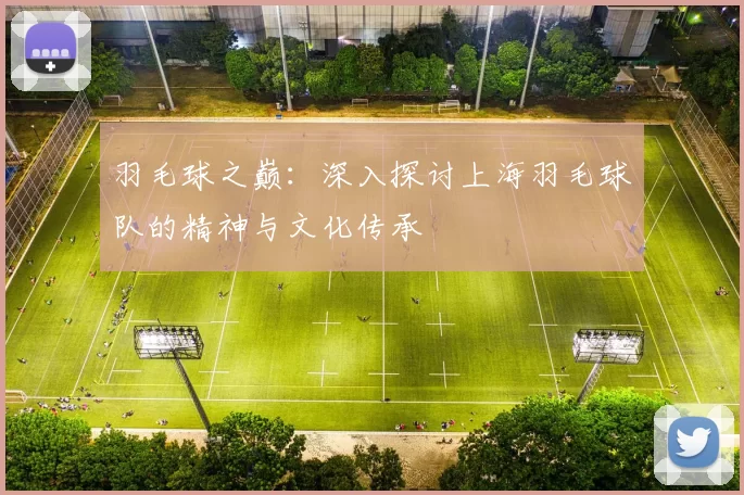 羽毛球之巅：深入探讨上海羽毛球队的精神与文化传承