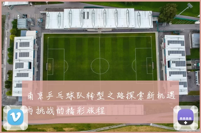 南京乒乓球队转型之路探索新机遇与挑战的精彩旅程