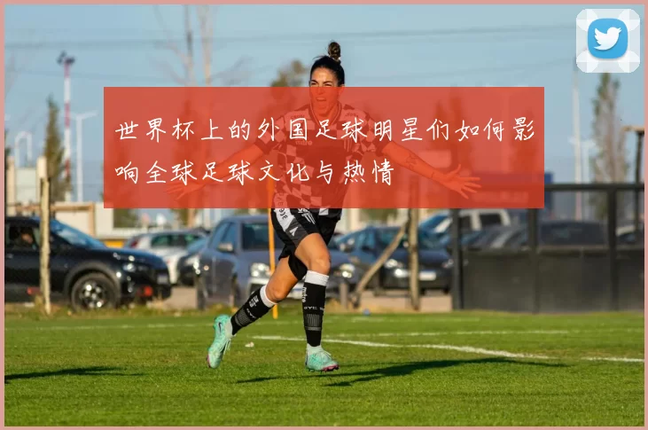 世界杯上的外国足球明星们如何影响全球足球文化与热情