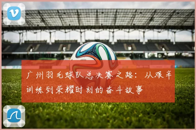 广州羽毛球队总决赛之路：从艰辛训练到荣耀时刻的奋斗故事