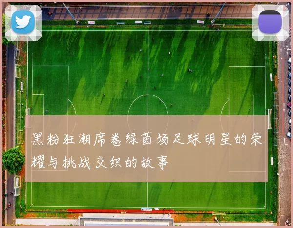 黑粉狂潮席卷绿茵场足球明星的荣耀与挑战交织的故事