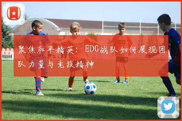 聚焦和平精英：EDG战队如何展现团队力量与竞技精神
