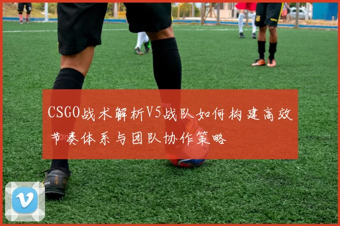 CSGO战术解析V5战队如何构建高效节奏体系与团队协作策略